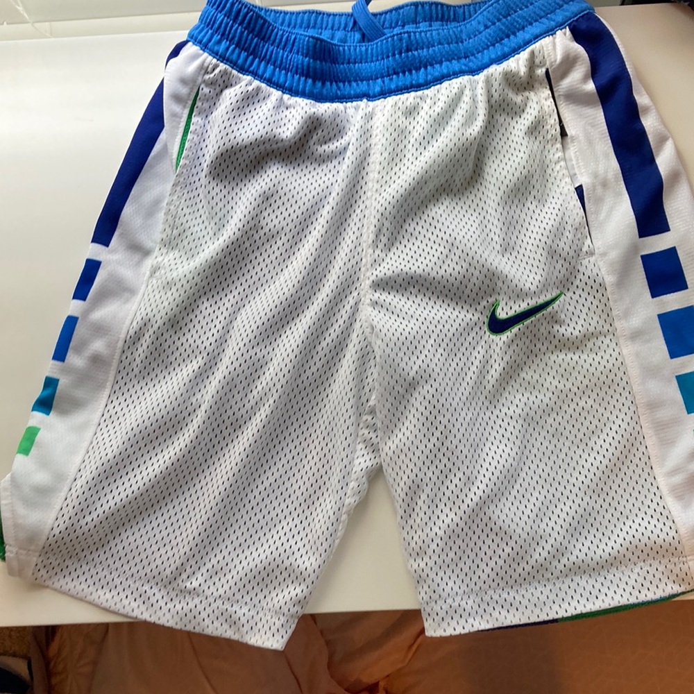 Nike blue and green Dri-Fit shorts